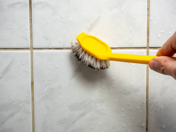 Best Mold Damage Repair  in Jonesville, LA