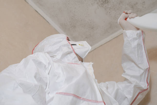 Crawl Space Mold Removal in Jonesville, LA
