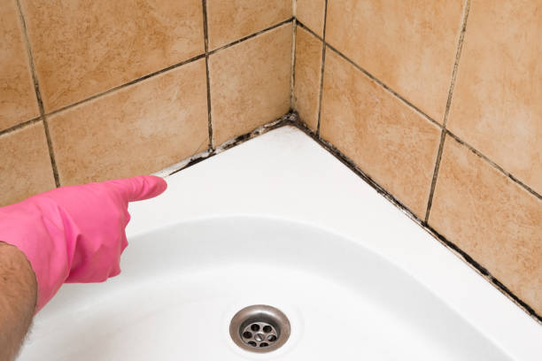 Best Fast Mold Removal  in Jonesville, LA